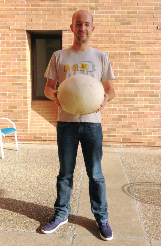 Francois Gaascht holding a giant puffball